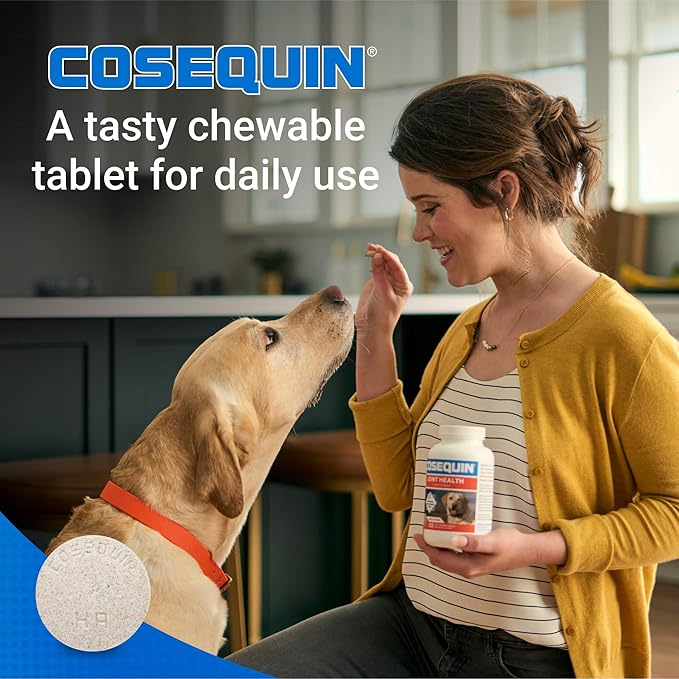 Nutramax Cosequin for Dogs Joint Health Supplement, Contains Glucosamine for Dogs, Plus Chondroitin, MSM and HA, Supports Healthy Joints, Chewable Tablets, 150 Count