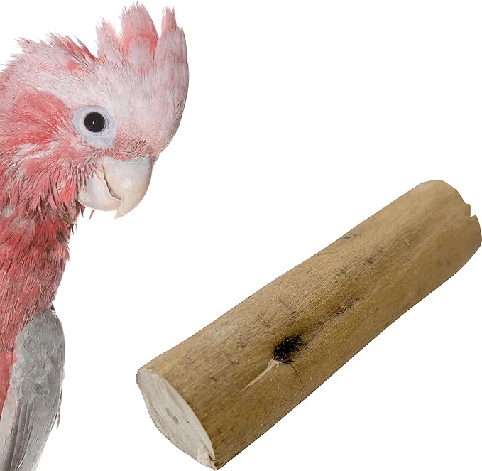 by M&M 5503 Natural Sola Skin Log PK3 - Handcut Sola Wood Bird Foot Toys, Thin Layer of Outer Bark, Lightweight, Chewable, Versatile, Great for Med to Large Size Pet Birds