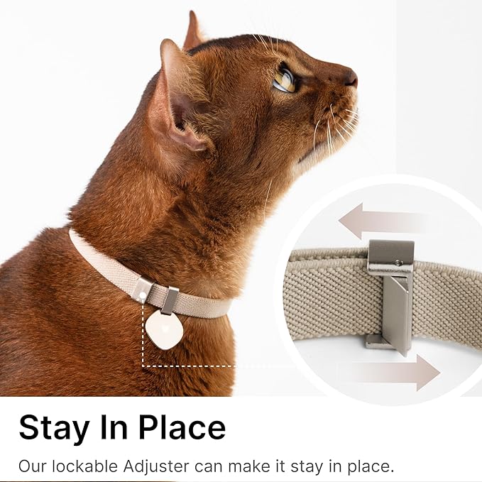 Safety Cat Collar Pro and Tag Set - U.S. IDA Gold Award, Elastic Release Cat Collar Charm Tag, Non Breakaway Cat Collar Adjustable with Charm for Kitten Small Large Cats (Glacier Silver, M)