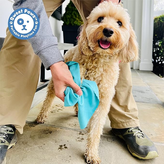 Sweet Paws Portable Dog Paw Towel, Lightweight & Super Absorbent Microfiber, Clips onto Leash, Quick Drying Towel for Dogs Paws with Silicone Case, Dry Dog’s Paws on The Go - Small - Rosy Glow