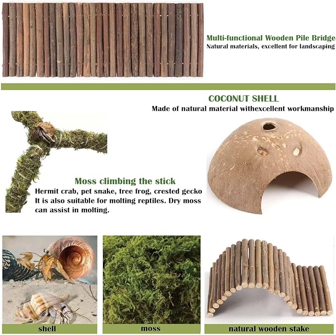 Hermit Crab Accessories – 6PCS Natural Hermit Crab Toys Climbing Bridge, Shells, Coconut Hideout, Moss and Plants for Hermit Crabs Habitat & Reptile Tank Decor