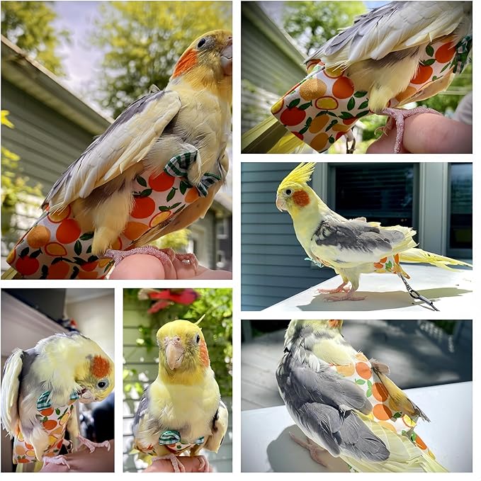 5 Pcs Bird Diapers Bird Harness Flight Suits Diapers Reusable Parrot Nappy with Waterproof Inner Layer Washable Cute Urine Wet Suit for Cockatiel Conure Budgie Macaw Parakeet Lovebird,S