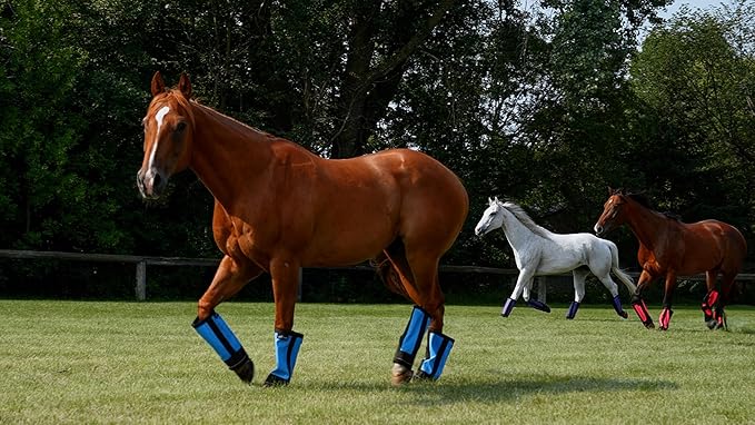 Warrior Fly Boots for Horses - Breathable Mesh Horse Boots for Fly Protection & Leg Comfort - Set of 4 (Lil Warrior, Neon Pink)