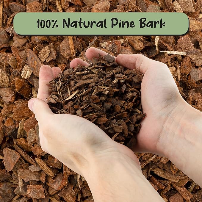 Soil Sunrise 100% Organic Orchid Potting Bark (2 Quarts) All-Natural USA-Sourced Pine Bark Orchid Mix Additive