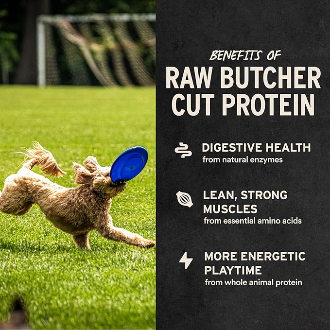 Vital Essentials Single Ingredient Chicken Necks Dog Treats, 9 oz | Freeze-Dried Raw | Premium Quality High Protein Training Treats | Grain Free, Gluten Free, Filler Free