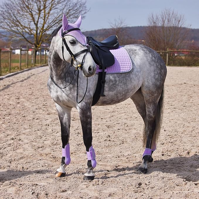 HORZE Adepto Open Front Tendon Boots | Durable Shell with Neoprene Lining - Languid Lavender Purple - Warmblood