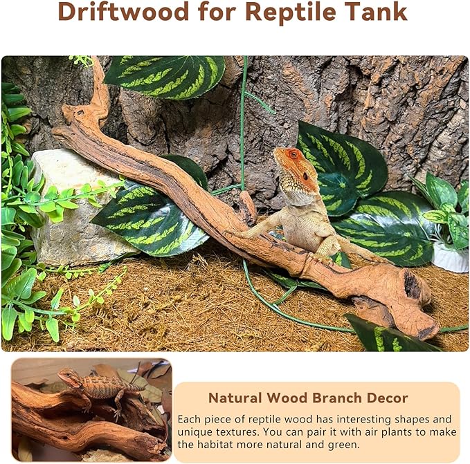 BNOSDM 2PCS Snake Climbing Branches,Reptile Natural Coral Driftwood Branches Decor,Lizard Habitat Decoration Accessories, Terrarium Tree Trunk Ornament for Bearded Dragon Gecko Frog Chameleon Spider