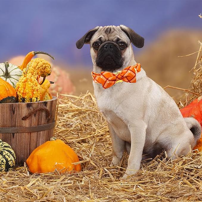 Fall Dog Collar, Pet Collar Bow Orange Plaid Collars Girl Boy Holiday Pet Collars Gift Bow Dog Collar Cute Soft Puppy Collars for Large Dogs