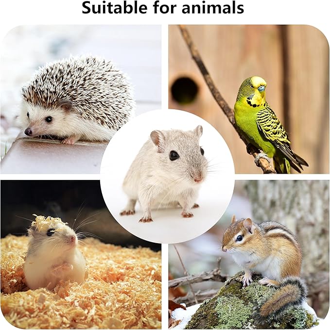 Hamster Wooden Platform with Legs Small Animal Climbing Ladder Standing Rat Guinea Perch Chew Toy Cage Accessories (Platform-Pig)
