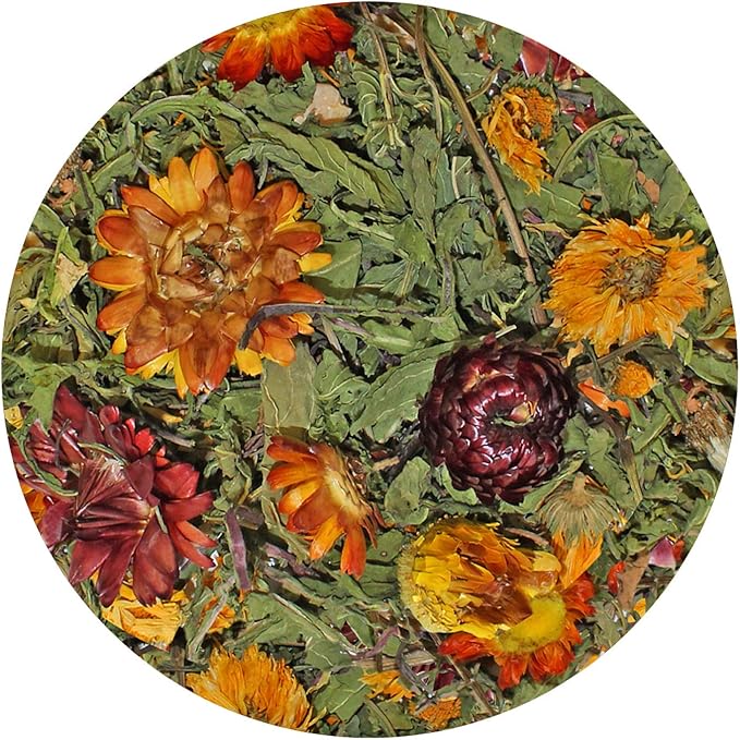 Exotic Nutrition Pasture Plus+ Dandelion Delicacy - Healthy Natural High-Fiber Dried Flower Treat - Guinea Pigs, Rabbits, Chinchillas, Prairie Dogs, Degus, Hamsters, Gerbils & Other Small Pets