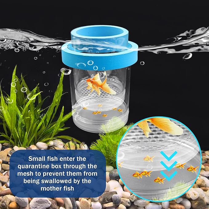 Small Floating Fish Breeding Box, Plastic Breeding Box for Fish Tank with Suction Cup, Clear Aquarium Divider Incubator, Adjustable Isolation Hatchery for Shrimp Guppy (Small)
