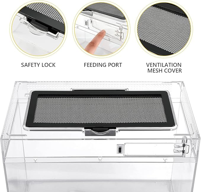 Reptile Terrarium Kit 12" x 7"x 9" Spider Tank Starter Tank, Leopard Gecko Tank, Tarantula Cage Hermit Crab Habitat, Lizard Enclosure, Insect Tank Kit, Jumping Spider Enclosure, Small Isopod Terrarium