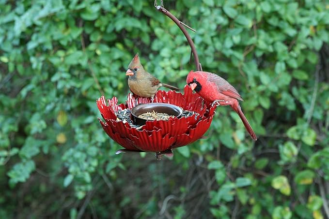Desert Steel Coral Sunset Peony Hanging Feeder - (Orange - 9”W x 11.5”H) - Loose Seed Metal Birdfeeder