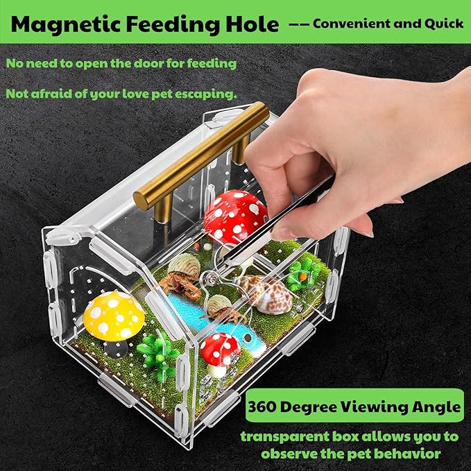Jumping Spider Enclosure with Handle, Acrylic Reptile Habitat with One-Click Magnetic Closure, Front Opening Small Terrarium with Ventilation Holes for Tarantulas, Frogs, Gecko, Mantis
