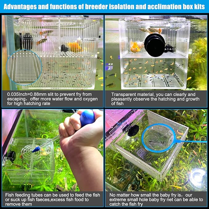 Magnetic Fish Breeder Box for Aquarium Tank Isolation Box Acclimation Hatchery breeding Incubator for Guppy Baby Betta Saltwater Clownfish Coral Anemones Aggressive or Injured Fish