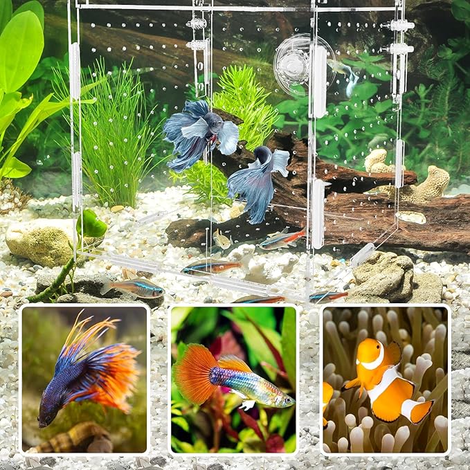 Hamiledyi Acrylic Breeding Isolation Box - Transparent Aquarium Hatchery for Guppy/Shrimp/Small Fish, Safe Nursery Tank with Air Tube & Suction Cups(5.9" × 5.9" × 5.9")
