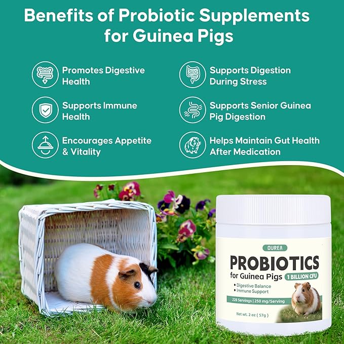 Probiotics for Guinea Pigs, All-Natural Digestive Support Powder, Easy to Mix Daily Gut Health Supplement for Guinea Pig, Helps with Soft Stool, Stress, Diet Change, 1 Billion CFU, 228 Servings