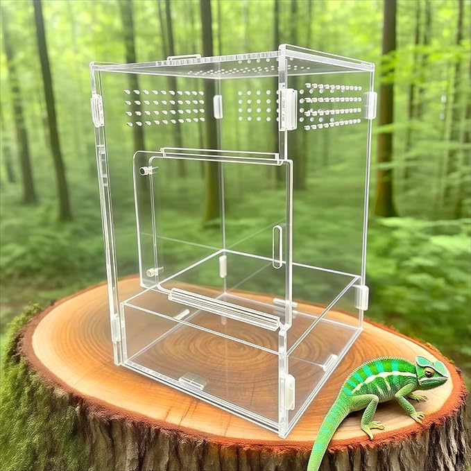 Acrylic Jumping Spider Habitat, Insect Terrarium, for Spiders, Tarantulas, Snail, Mantis, Lizard, and Small Reptiles, with Two Magnetic Doors and one Feeding Trough (6x6x9 inch)