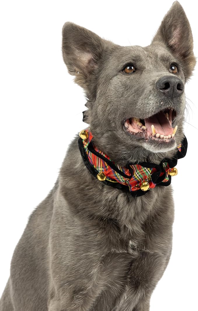 Huxley & Kent Ruff Pet Scrunchy | Shiny Christmas Plaid (Small) | Festive Christmas/Holiday Neckwear for Dogs/Cats | Fun Stretchable Costume Accessory | Soft Collar with Bells