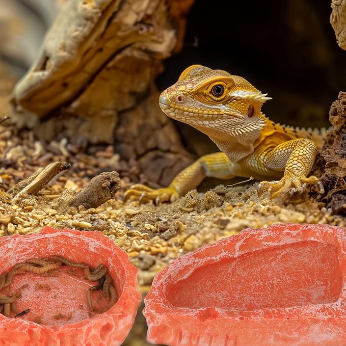 Reptile Water Dish Food Bowl for Bearded Dragon Tank Accessories, Hyggerzoo Reptile Rock Feeder for Tank 2 Pack Corner Resin Terrarium Bowl for Leopard Gecko Hermit Crab Tortoise Snake, Orange