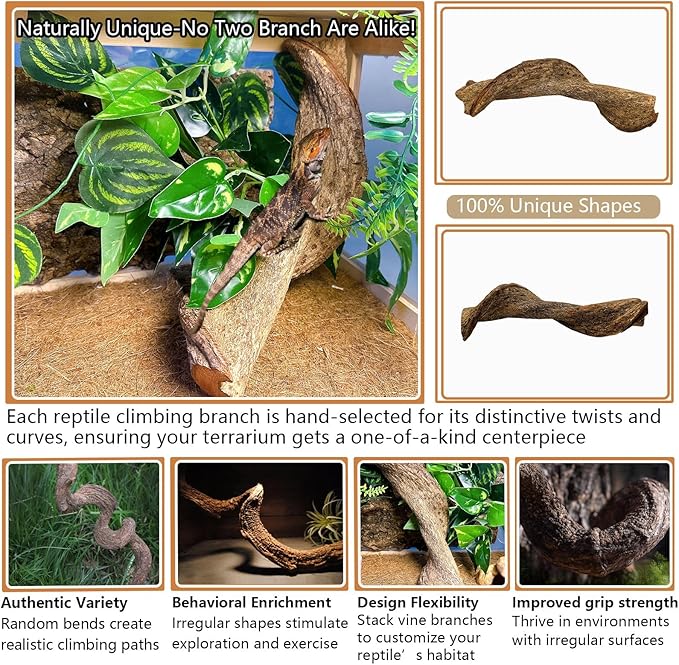 BNOSDM Reptile Climbing Branches Decor,Snake Climbing Branch,Gecko Climb Wood,Lizard Bold Forest Branch,Tank Habitat Tree Trunk Decorations for Bearded Dragons,Chameleons,Spider,Frogs,2.5-3.25" T