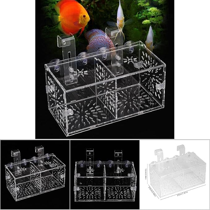 Acrylic Transparent Fish Tank, Breeding Isolation Box Aquarium Hatchery Incubator Holder with Screw Reinforcement, Convenient Use Comes with Isolation Board for Fish Breeding