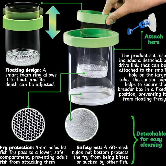 Betta Guppy Breeding Box for Fish Tank and Artificial Plants, Floating Guppy Breeding Box with Suction Cups, Acrylic Breeder Isolation Incubator for Aquarium Tank, Hatchery Breeder Chamber (Green, M)