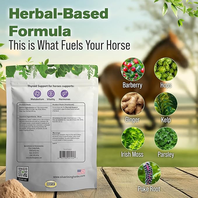 Silver Lining Herbs Thyroid Support for Horses – Herbal Horse Supplement for Normal Thyroid Function, Hormone Balance & Healthy Metabolism with Irish Moss, Kelp, Parsley – 120-Day Supply