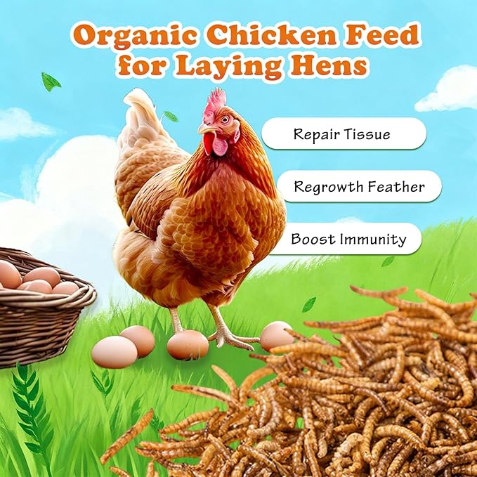 Amzey Dried Mealworms 1 LB, 100% Natural Meal Worms for Chicken & Birds, Organic Chicken Feed for Laying Hens, High Protein and Nutrition, Zipped Bag