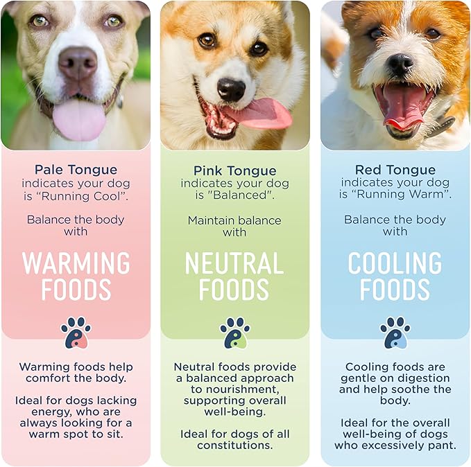 Side by Side Chicken Munchies - Warming Freeze-Dried Dog Treats - Ideal Dog Training Treats, Snack or Reward - Made of Whole Raw Ingredients, Free of Artificial Additives - USA Made (4oz., Pack of 2)