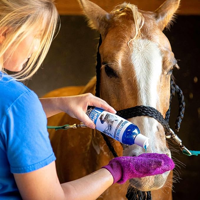 Jeffers Equine Brightening Blue Shampoo for Horses, 32 oz – Enhanced Whitening & Stain Remover, Coconut Oil, Aloe, Gentle Grooming, Detergent - Free, Enhances Coat Shine, Mane & Tail Care
