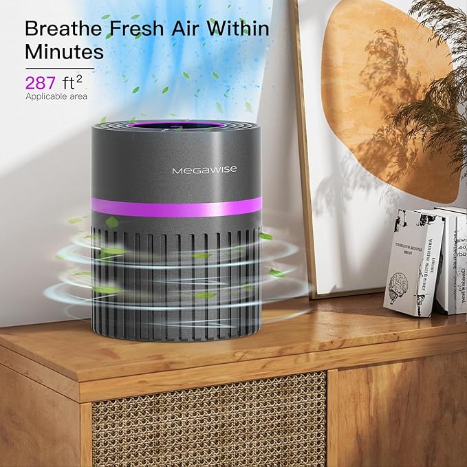 MEGAWISE H13 HEPA Air Purifier for Home, Bedroom & Office | 3-Stage Filtration for Smoke, Dust, Pet Dander | Quiet & Ozone-Free