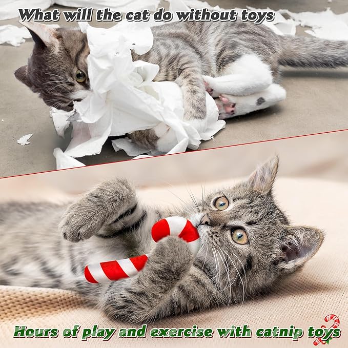 MALLMALL6 4Pcs Christmas Candy Cane Catnip Toys Gift for Cat, Indoor Kitten Chew Bite Kick Catmint Pet Toys Supplies for Cat Lover Xmas Gifts, Cute Interactive Kitty Toy for Pet Presents