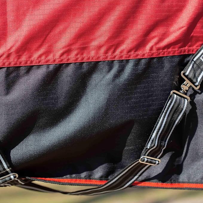 Equinavia Norse Lightweight 100g Fill Horse Rain Blanket | Waterproof Turnout Sheet - Black - 66 in - Equestrian Red - 66 in