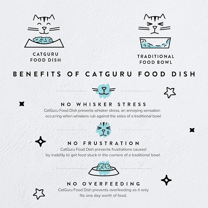CatGuru Cat Food Bowl, Ceramic Bowls for Indoor Cats, No Spill Cat Feeding Bowl, Whisker Stress Free Kitten Bowls, Non Skin Pet Bowls for Food and Water (Torus - Set of Two, Aruba)