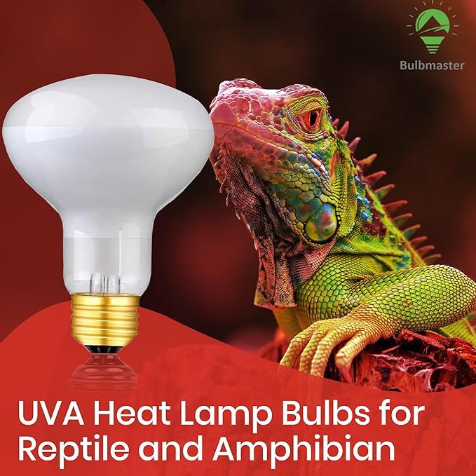75 Watts UVA Reptile Heat Lamp Bulbs Basking Light for Reptiles and Amphibian, Basking Light for Bearded Dragon, UVA Reptile Light Bulb E26 Base 2 Pack
