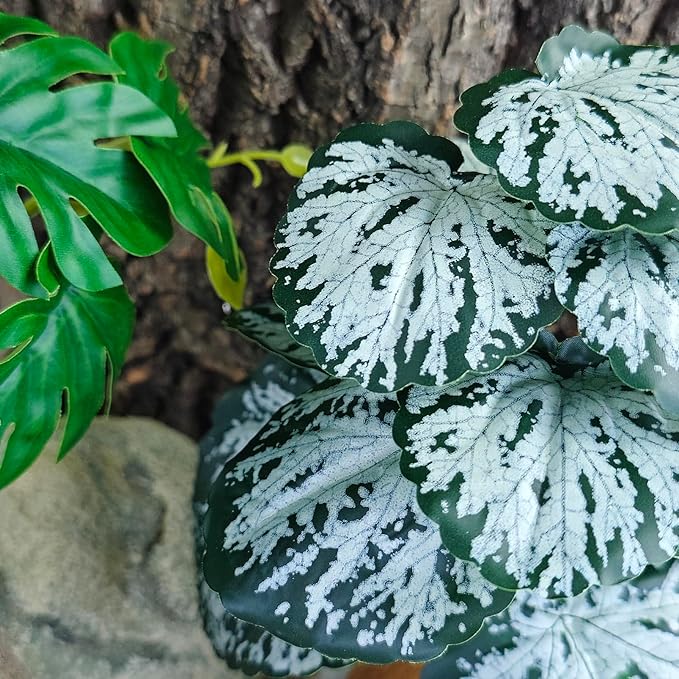 Woyrise Reptile Artificial Plants for Terrarium Decor, Amphibian Habitat Decorations Bearded Dragon Tank Accessories fit Crested Gecko Leopard Lizard Chameleon Snake Frog - Fake Spots Heuchera