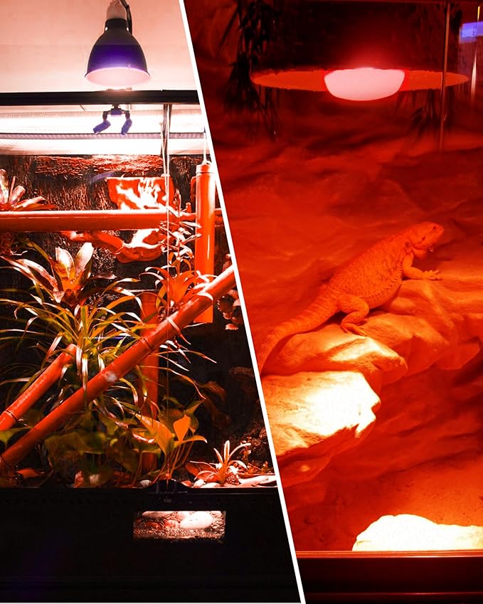 EvaStary 100W Infrared Heat Lamp Bulbs, 2 Pack UVA Reptile Basking Spot Light for Reptiles, Red Heat Lamp Bulb for Bearded Dragon,Turtle,Snake, Chickens, Pets