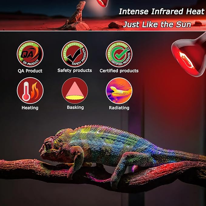 60W Compact Red Infrared Heat Lamp Bulb – Provides All-Day Heating to Support Metabolism, Digestion & Appetite, Basking Spot Light for Reptiles, Lizards, Terrarium & Brooder Heater, 2.5"