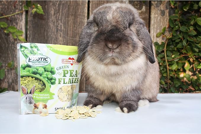 Exotic Nutrition Green Pea Flakes (8 oz.) - Healthy Natural Dried Vegetable Treat - for Rabbits, Guinea Pigs, Hamsters, Chinchillas and Small Pets