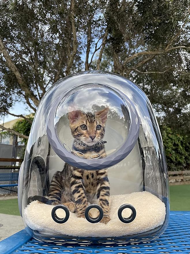 Bubble Cat Carrier Backpack, Transparent Pet Carrier Backpack for Small Puppy and Bunny, Space Capsule Bubble Cat Backpack Carrier, Airline Approved Waterproof Green Pet Backpack for Small Dog