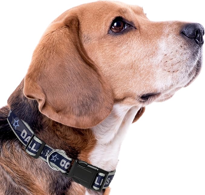 NFL PET Dallas Cowboys Dog Collar, Small Football Team Collar for Dogs & Cats - Shiny & Colorful, Licensed by The NFL