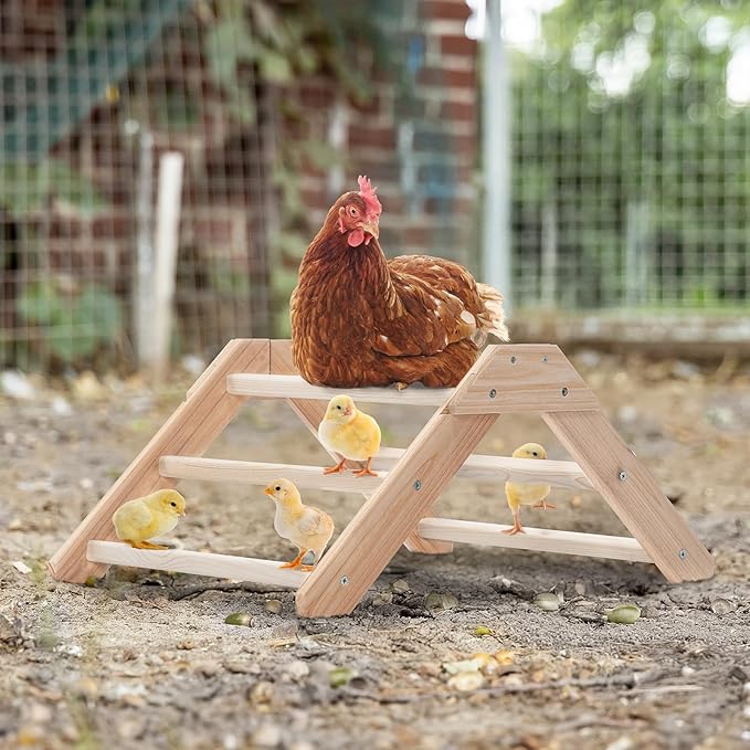 PETSFIT Chick Perch Prevent Rotation Design, Strong Wooden Chicken Roosting Bar, Easy to Assemble and Clean, Fun Toys for Chick Indoor/Outdoor Use
