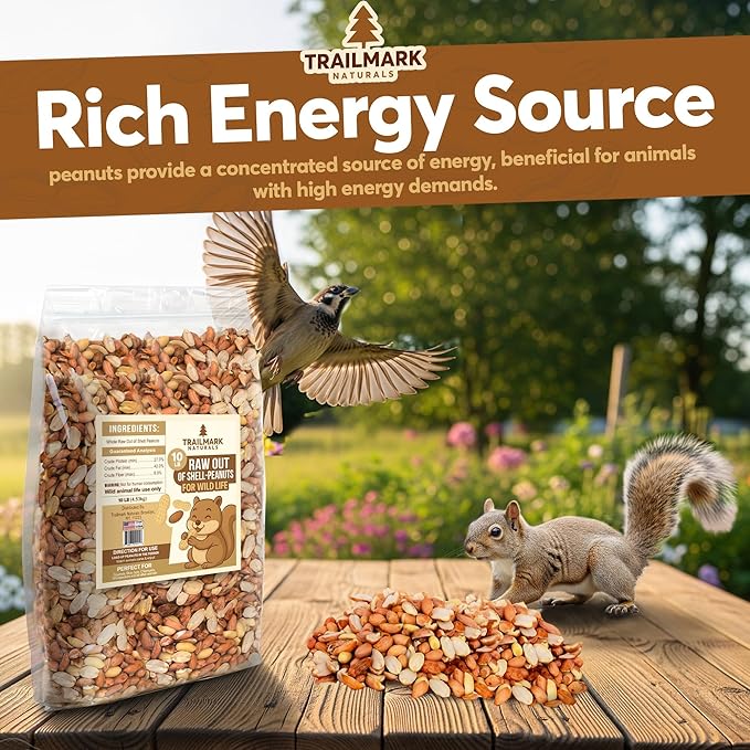 3 LB - Raw Shelled Peanuts For Squirrels, Out of Shell Peanuts For Birds and Wildlife- Squirrel Food, Wild Bird Seed - Grown in The USA