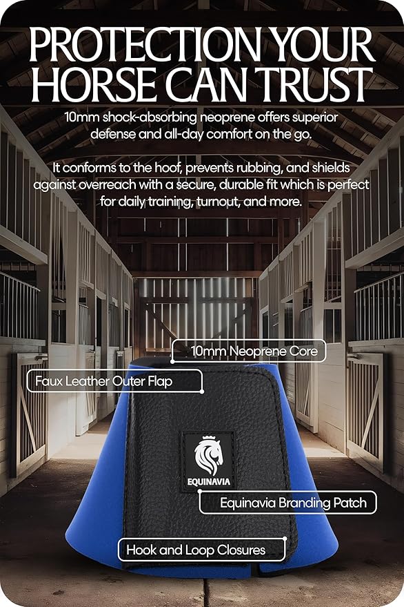 Equinavia Toki Bell Boots for Horses | Neoprene Overreach Boots - Royal Blue - L