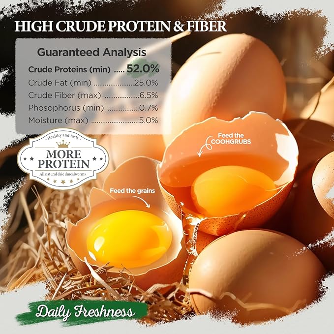 Dried Mealworms for Birds, Non-GMO High Protein Chicken Treats & Poultry Feed, 5 lb Bag