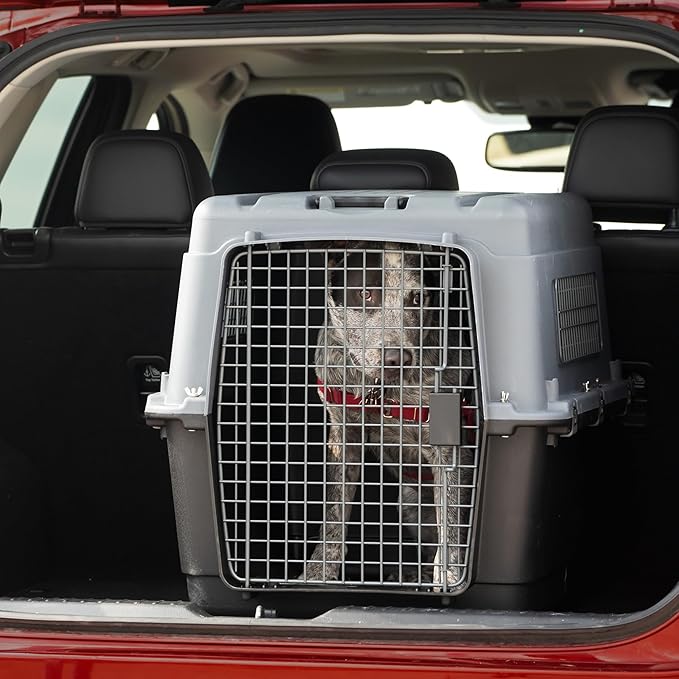 SportPet Airline Approved Wire Door Travel Dog Crate, Durable Plastic Pet Travel Kennel with Removable Wheels,Collapsible, Food Bowls & Accessories, Fits Dogs up to 29" L & 20" H - Large - Gray/Black