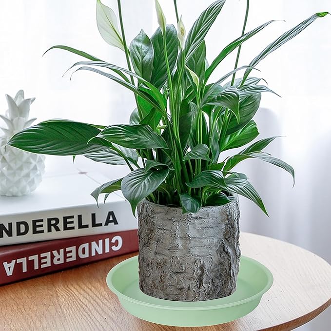 2 Pack of 14 inch Plant Saucers Bird Bath Bow Round, Plastic Plant Saucer Tray for Pots, White Planters for Indoor Plants, Plant Trays for Planter 12-15" (14", Light Green)