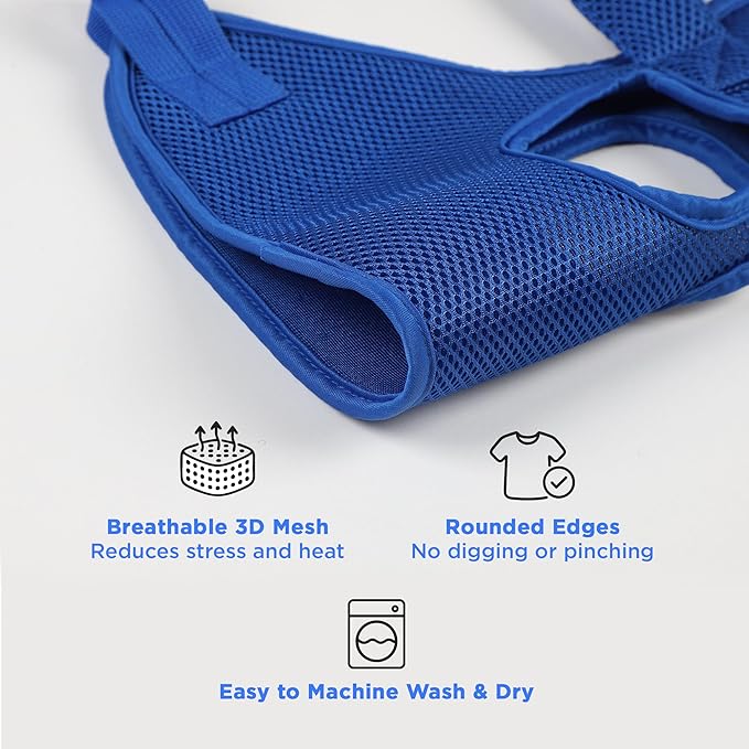 Pet Grooming Hammock for Cats & Small Dogs – Nail Clipping Kit with Sling, Clippers, File, Glove, Straps & Carabiners – Ideal for Trimming & Ear Cleaning – [S/XS] (Blue, Small)