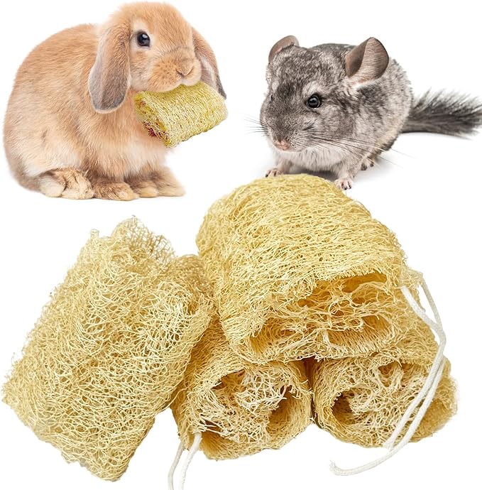 BNOSDM Bunny Chew Toys Natural Loofah 4PCS Bunny Teeth Grinding Toy Rabbit Fiber-Rich Treats Pet Entertainment Accessories for Rabbits Chinchillas Guinea Pig（L）